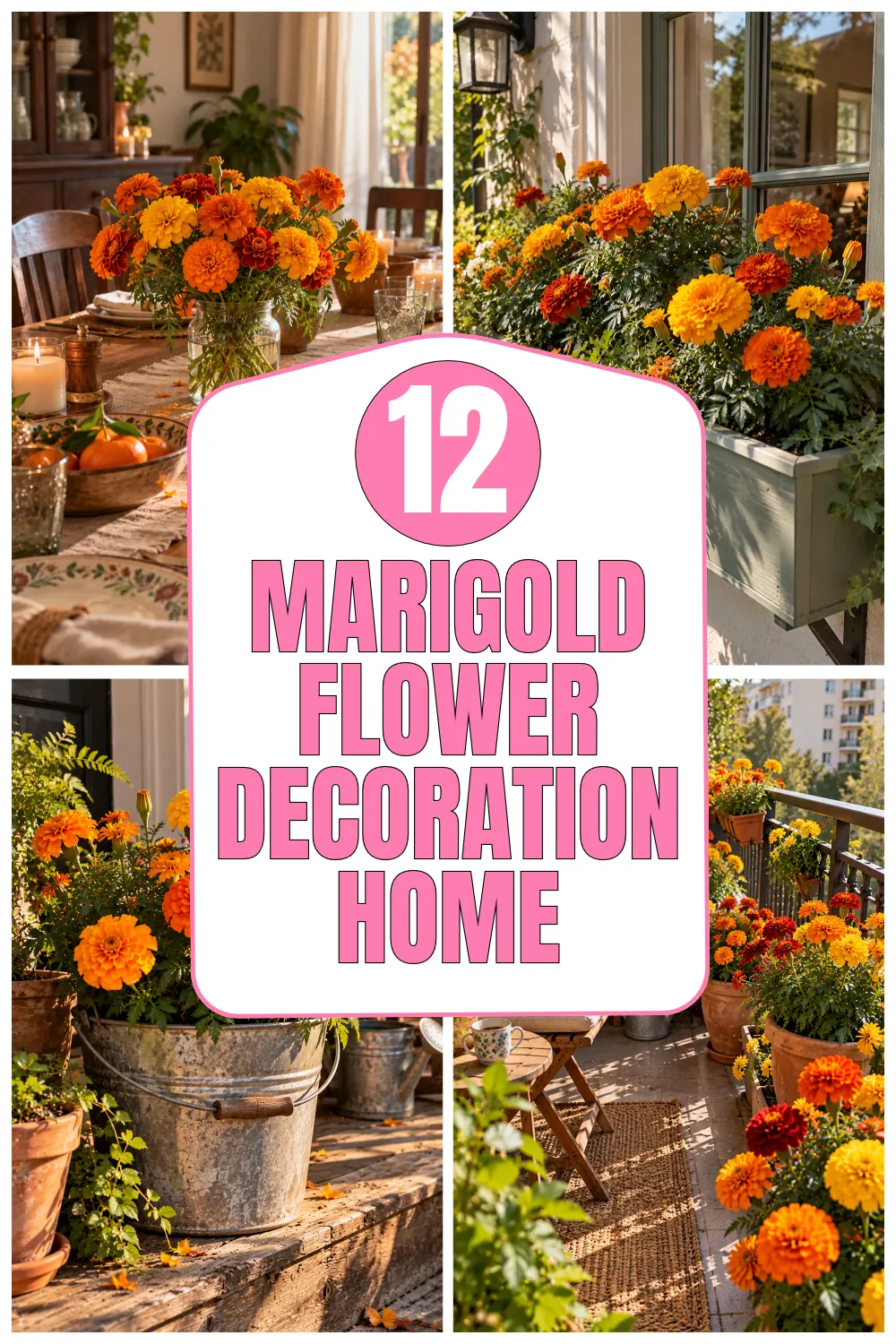 Marigold Flower Decoration Home