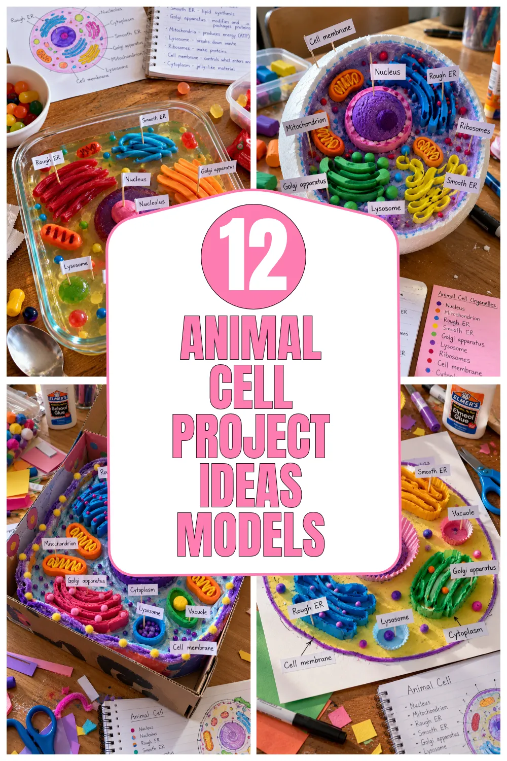 Animal Cell Project Ideas Models